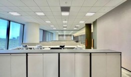 杨子侄女爆料视频大全集,揭秘娱乐圈背后真相